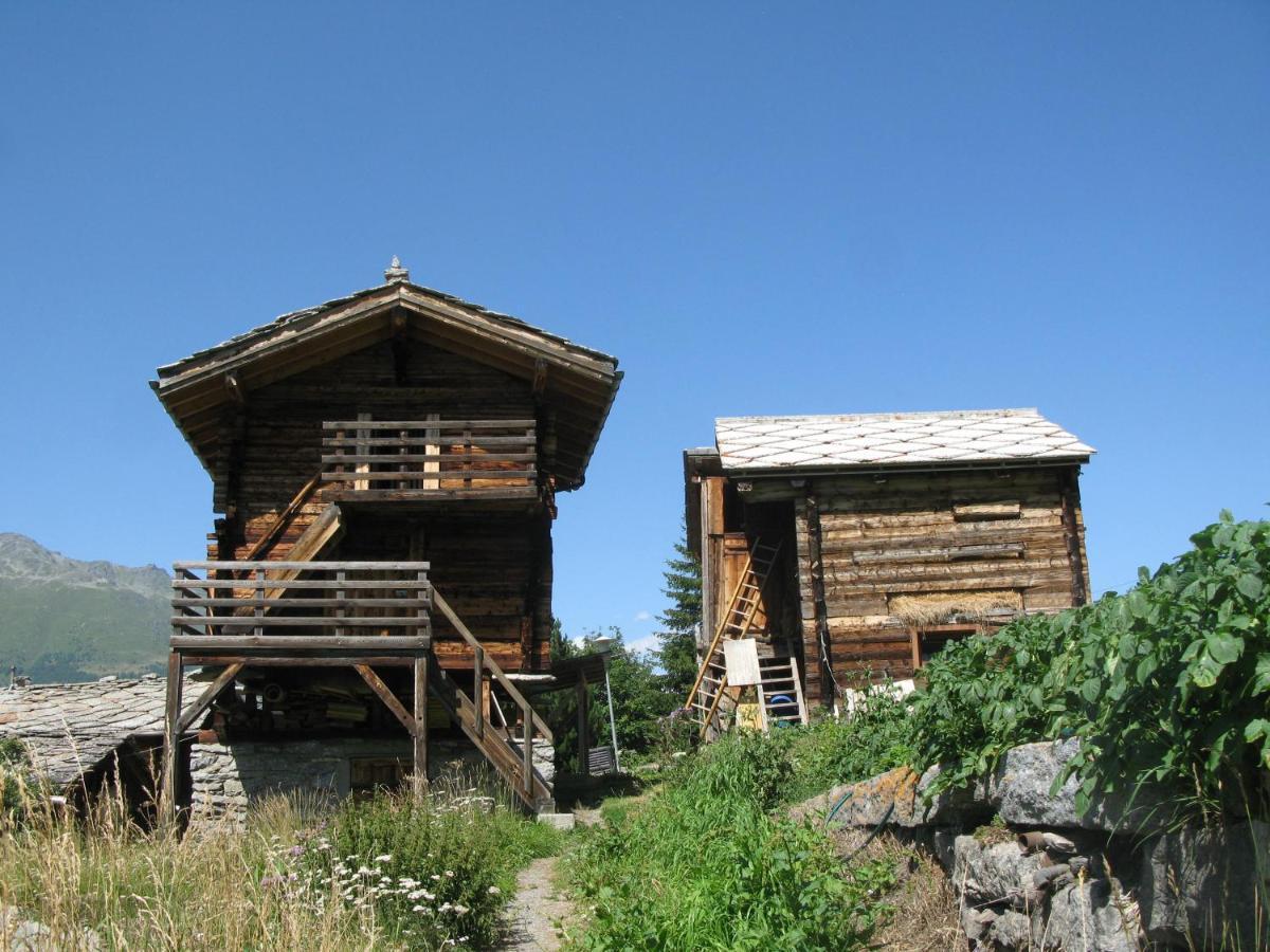 Alpia 26 - Zwei Zimmerwohnung In Traditionellem Walliser Haus Apartment *